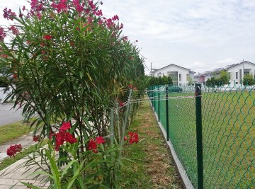 20140714_133819 (2).jpg revised